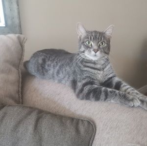 Meet your Posher, Sherri